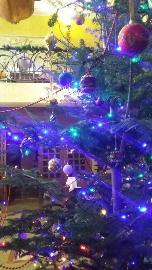 Letuchiy Gollandets Hotell Uzjhorod Eksteriør bilde